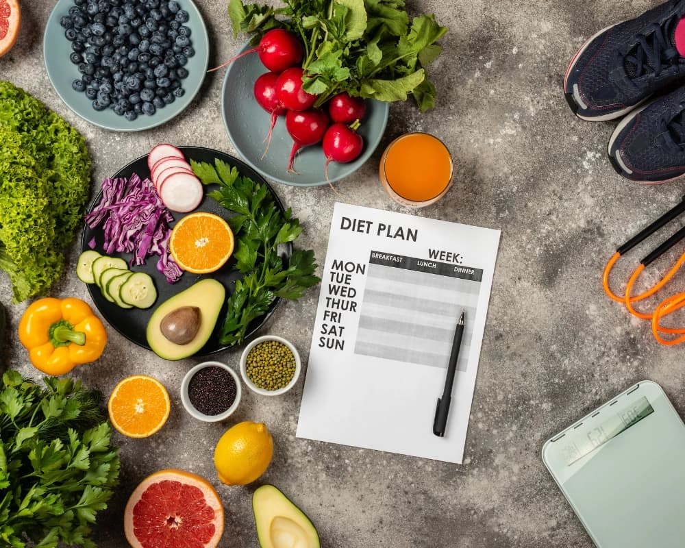 Janic Health weight management program materials